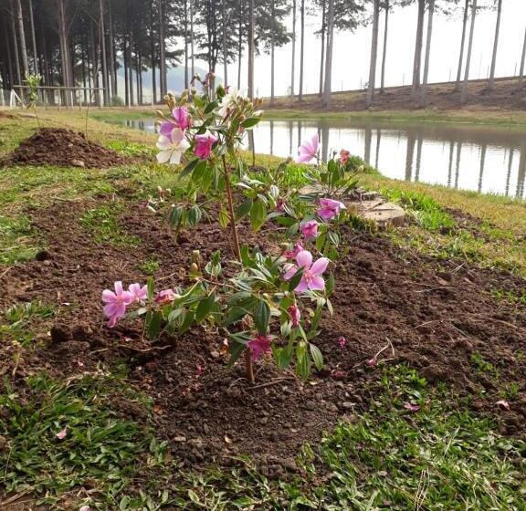 Otel Pousada Rural Colina Do Sol