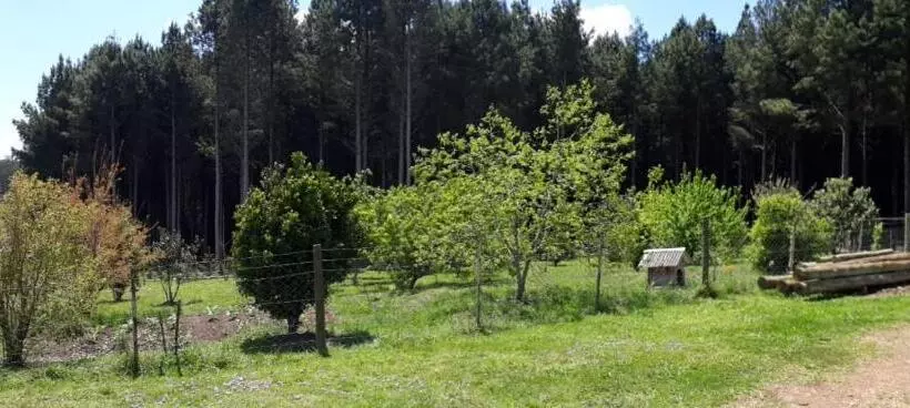 ホテル Pousada Rural Colina Do Sol