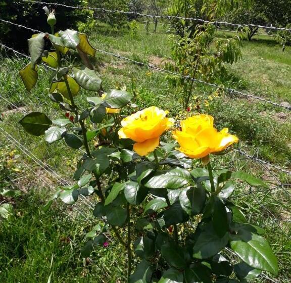 Otel Pousada Rural Colina Do Sol