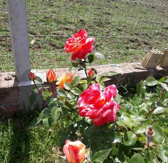 ホテル Pousada Rural Colina Do Sol