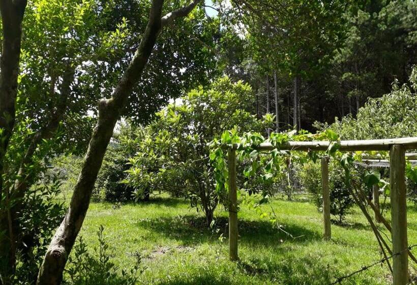 Otel Pousada Rural Colina Do Sol