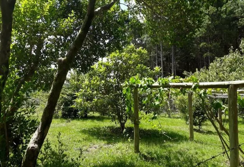 ホテル Pousada Rural Colina Do Sol