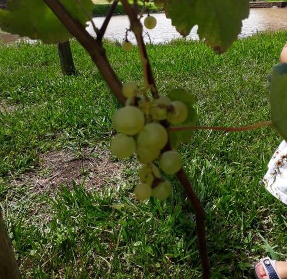 Otel Pousada Rural Colina Do Sol