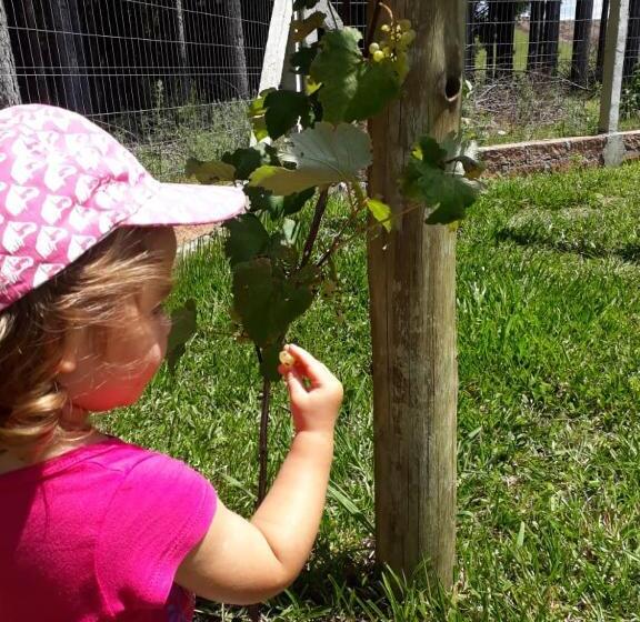 Otel Pousada Rural Colina Do Sol