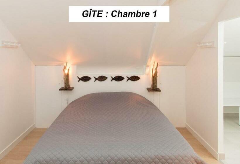 פנסיון Chambre D Hôte Et Gîte Du Jardin Des Corsaires