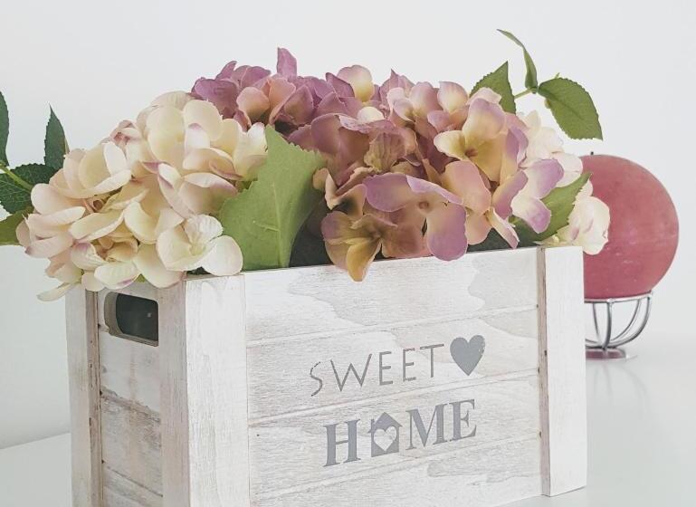 پانسیون Old Dream