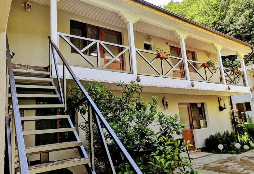 ユースホステル Casa De Vacanta La Locanda Dubova