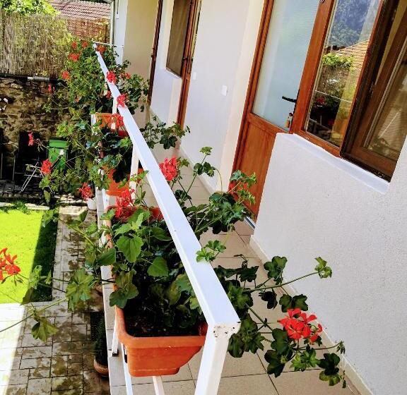 Общежитие Casa De Vacanta La Locanda Dubova