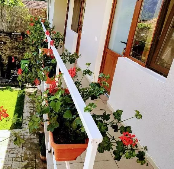 ユースホステル Casa De Vacanta La Locanda Dubova