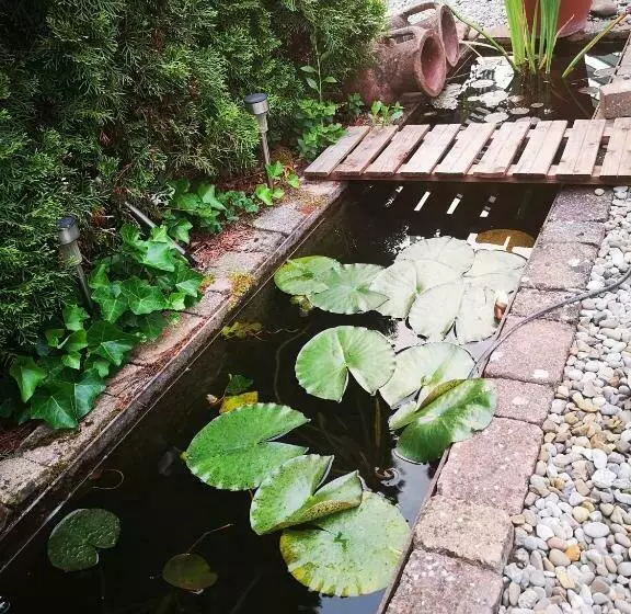 Bed And Breakfast 24