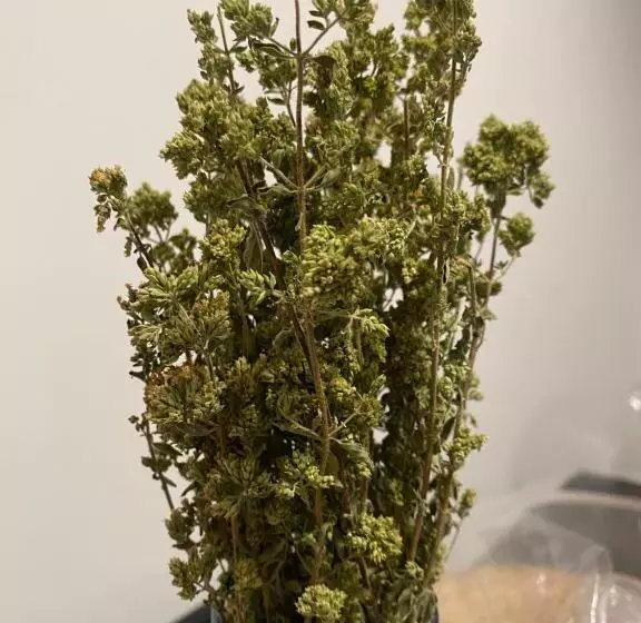 Aamiaismajoitus (B&B) Co Mó   Camera A Sud   Affittacamere