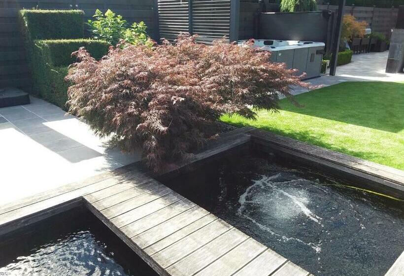 تختخواب و صبحانه Cosyhuise