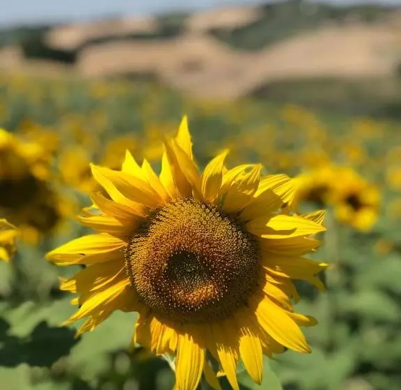 Aamiaismajoitus (B&B) Il Posto Perfetto