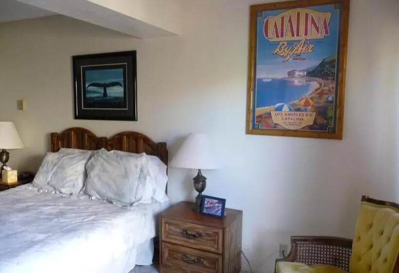 Catalina S Got Cart Condo