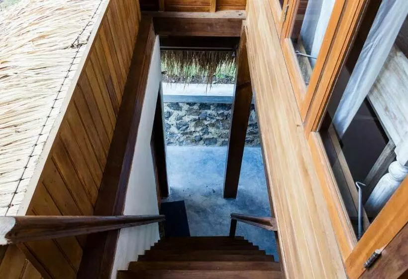 ホテル Majango Bungalows