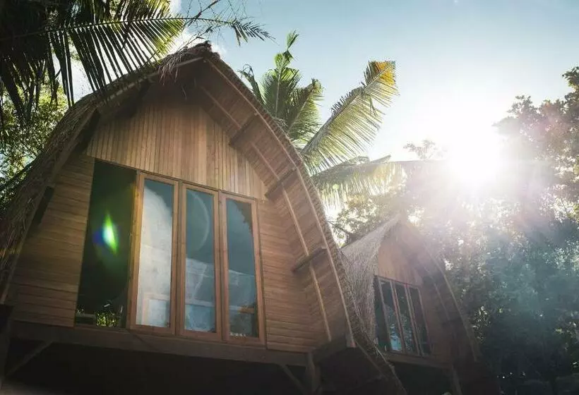 ホテル Majango Bungalows
