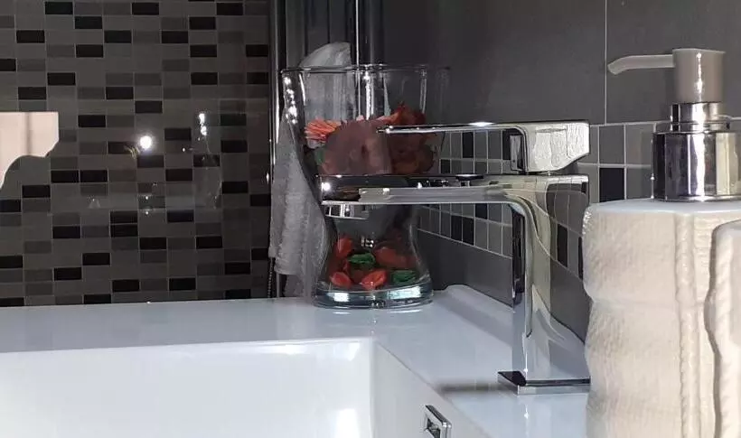 پانسیون The Attic