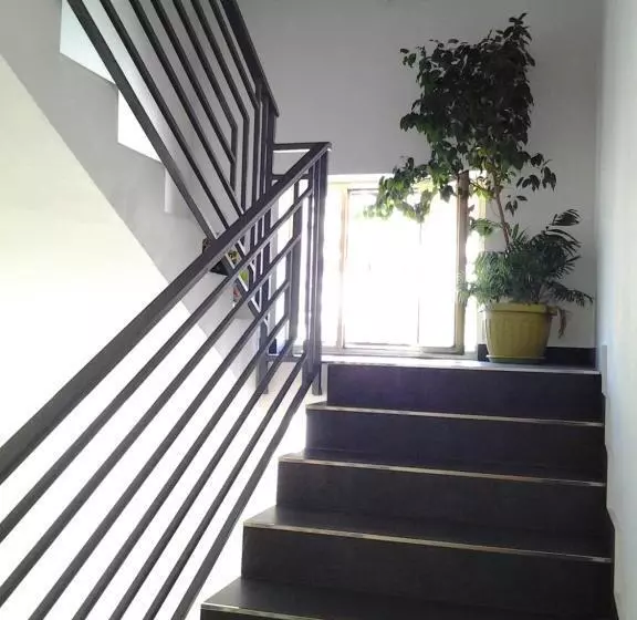 پانسیون The Attic