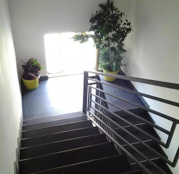 پانسیون The Attic