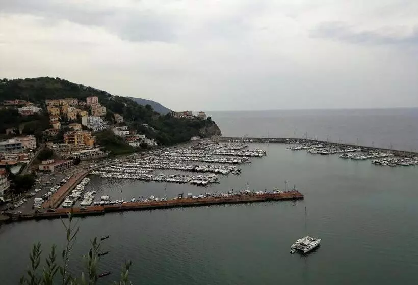 پانسیون The Attic