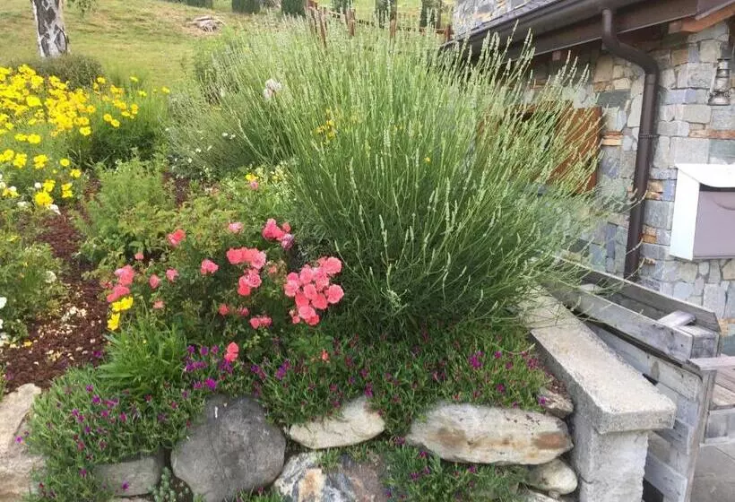 2 Cuori E Un B&b