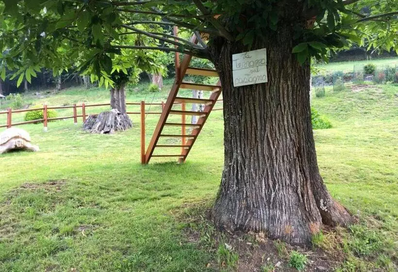 2 Cuori E Un B&b