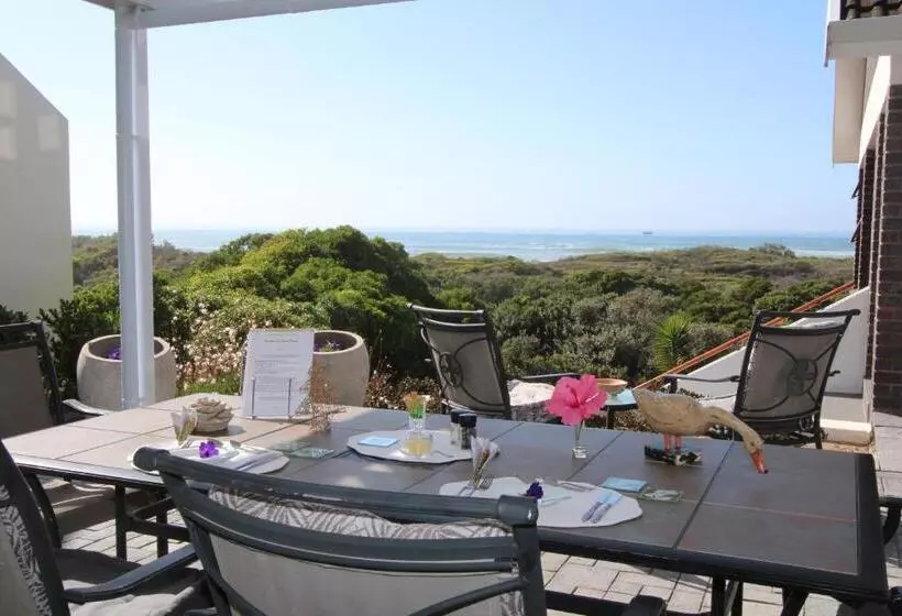 Beach Break B&b   Deluxe Suites