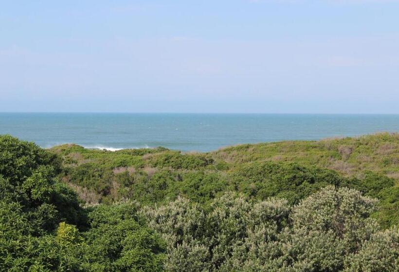 Beach Break B&b Deluxe Suites