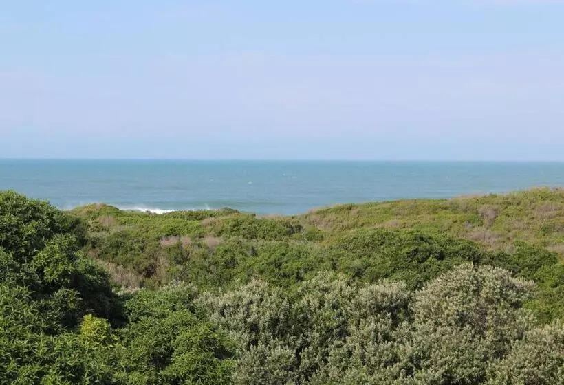 Beach Break B&b   Deluxe Suites