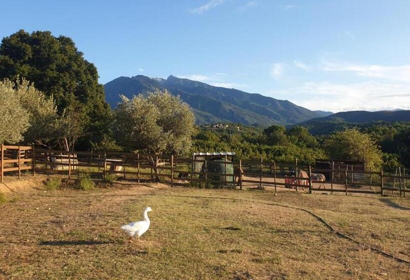 צימר Chambre D Hôtes Le Petit Ranch