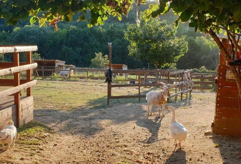 צימר Chambre D Hôtes Le Petit Ranch