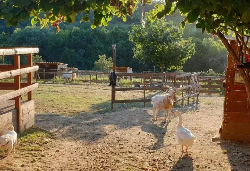 Aamiaismajoitus (B&B) Chambre D Hôtes Le Petit Ranch