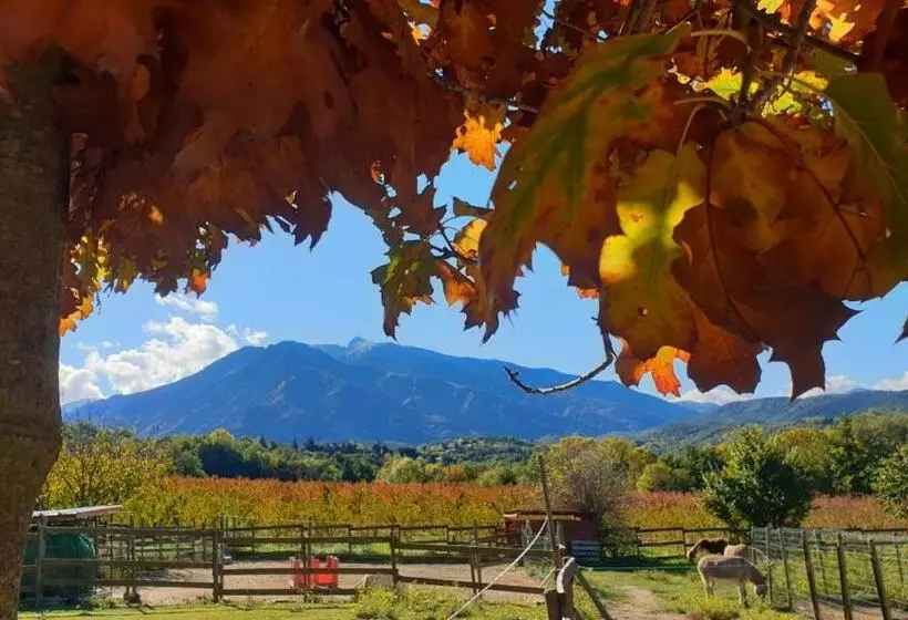 Aamiaismajoitus (B&B) Chambre D Hôtes Le Petit Ranch