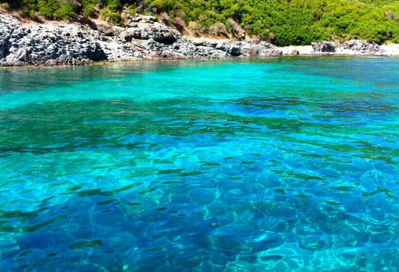 ベッドアンドブレックファースト Loft