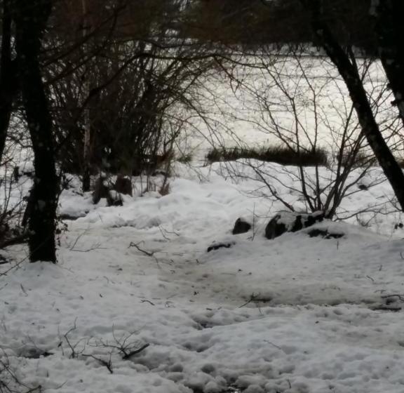 Bed and Breakfast Quai De L   Arnette