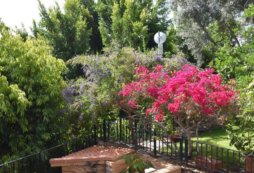 تختخواب و صبحانه Romantica