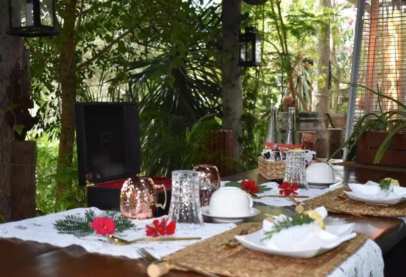 Aamiaismajoitus (B&B) Romantica