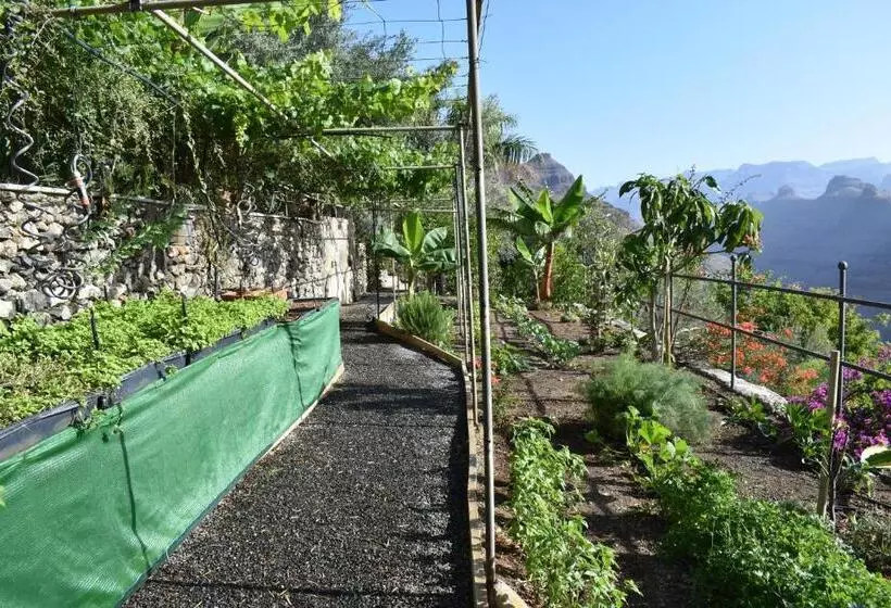 Aamiaismajoitus (B&B) Romantica