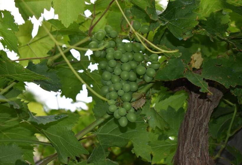 تختخواب و صبحانه Romantica