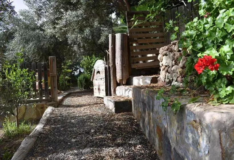 Aamiaismajoitus (B&B) Romantica