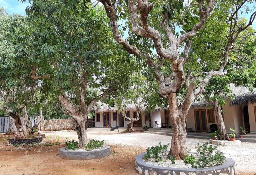 فندق Mulia Bungalows