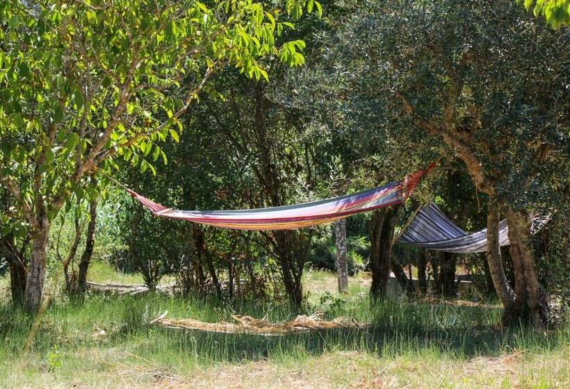 پانسیون Lameira Da Longra   Bohemian Artistic House & Coliving