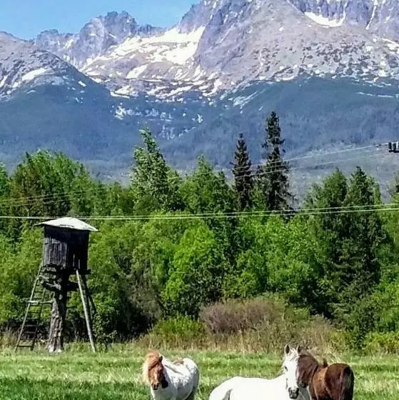 ペンション Penzión Monty Ranch Vysoké Tatry štôla