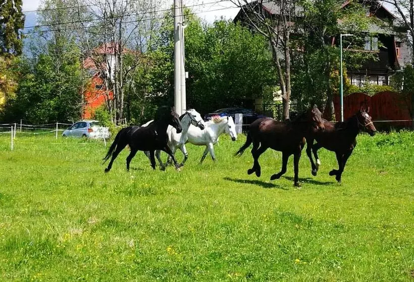 ペンション Penzión Monty Ranch Vysoké Tatry štôla