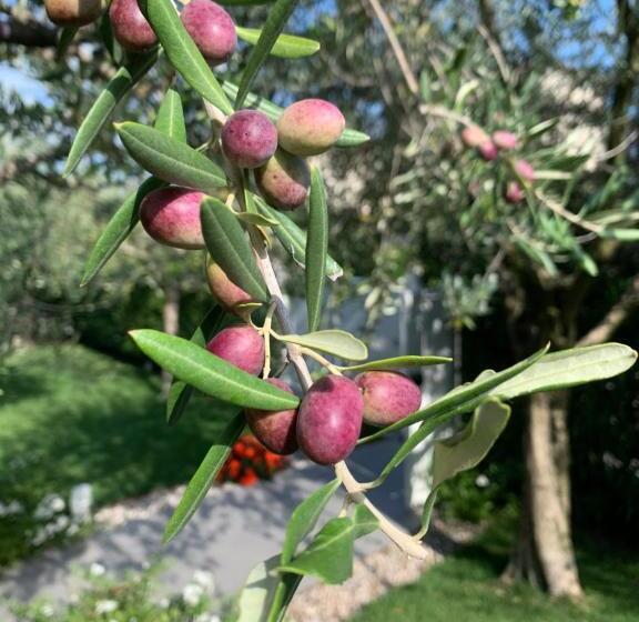 Villa Lori Apartments Garden And Beach