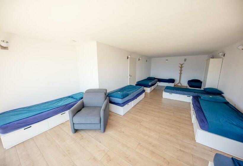 Общежитие Young Backpackers Homestay