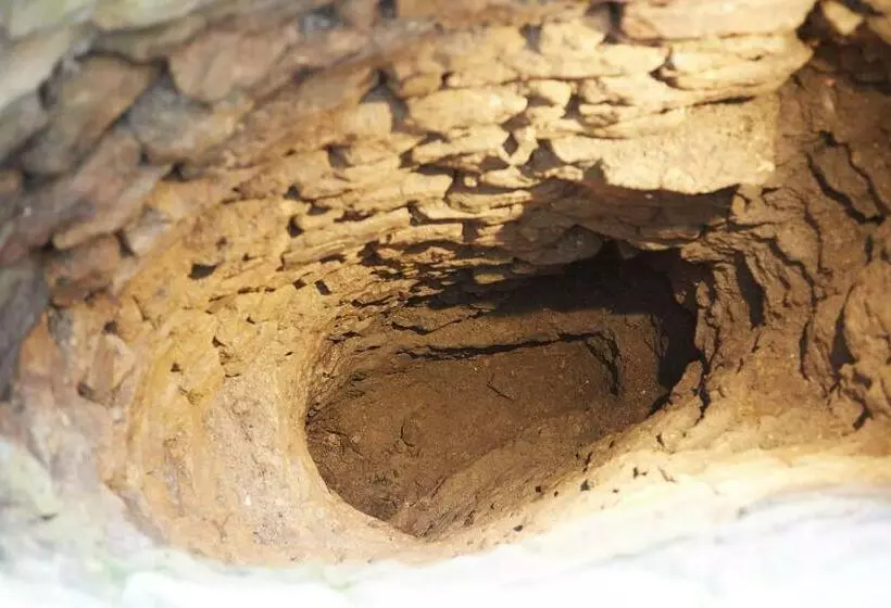 Aamiaismajoitus (B&B) Cherry Tree Farm B And B