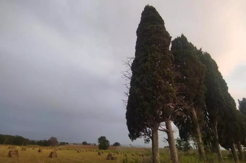 ホテル Agriturismo I Debbi