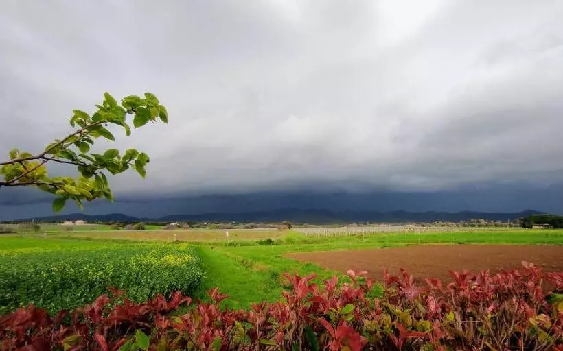 ホテル Agriturismo I Debbi