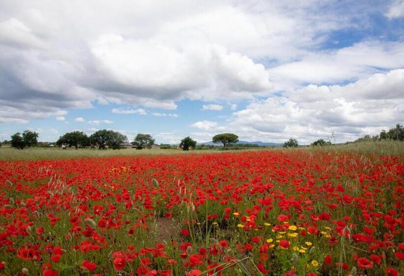 Hotelli Agriturismo I Debbi
